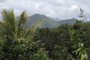 Fototapeta na wymiar The lush mountains of Dominica. Focus is on mountaintops.