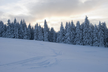 Fototapeta na wymiar Zima w Beskidach