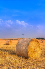Fototapeta na wymiar Heuballen zur Getreide-Erntezeit
