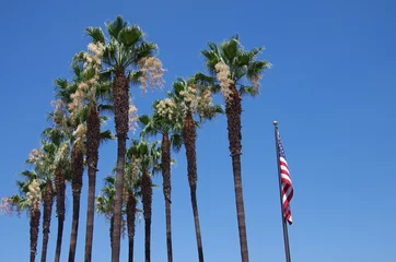 Photo sur Plexiglas Los Angeles palmiers et drapeau américain