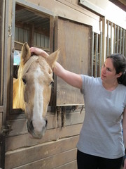 Animals: Palomino horse in the barn stall with female owner
