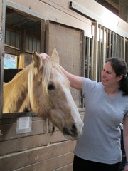 Animals: Palomino horse in the barn stall with female owner