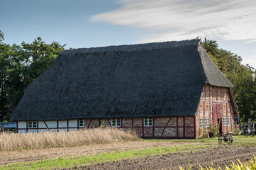 Fototapeta na wymiar Typical Thatched Roof House