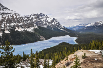 Peyto lake 