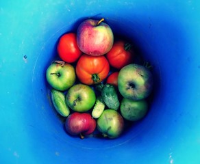 Fruit and vegetables from a summer garden on a blue background.