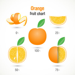 Sliced orange fruit chart vector illustration.