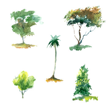 Watercolor set of trees on white background