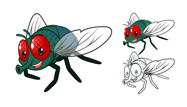 High Quality Detailed Fly Cartoon Character with Flat Design and Line Art Black and White Version Vector Illustration