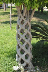 Decorative trees