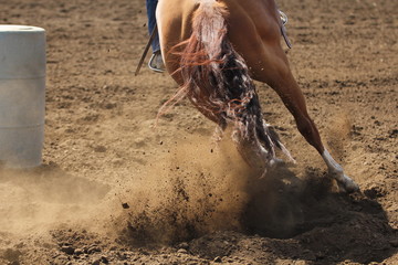 Fototapeta premium A barrel racing horse is sliding and kicking up dirt while galloping around a barrel.