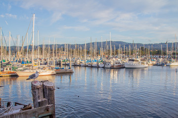 Fototapeta na wymiar Monterey Harbor