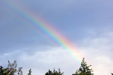 rainbow in the city