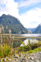 Milford Sound, New Zealand. Picture taken from the pier.