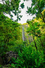 Fototapeta na wymiar Waimoku Falls on The Road to Hana, Maui, Hawaii, USA