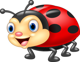 Fototapeta premium Cute ladybug cartoon 