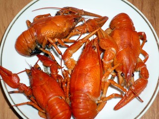 boiled crabs