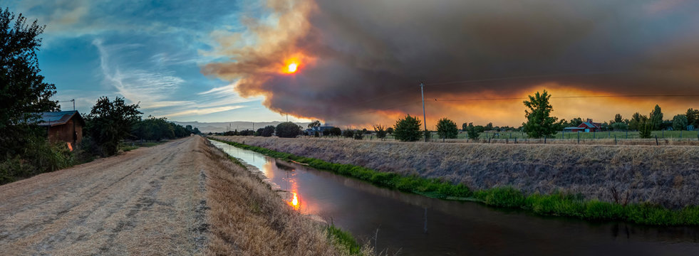 Wildfire Smoke