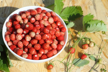 Ripe red wild strawberry in a plate on a wooden table outdoors