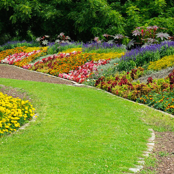 Blossoming flowerbeds in the park