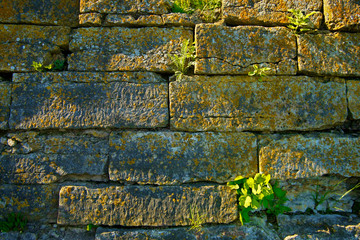 Old brick wall. age more than 600 years