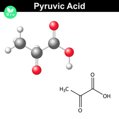 Pyruvic acid molecule