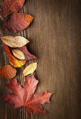 autumn leaf on wood background