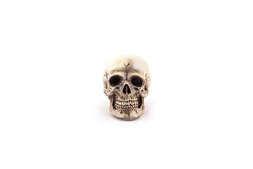 Human skull on isolated white background.