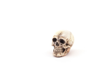 Human skull on isolated white background.