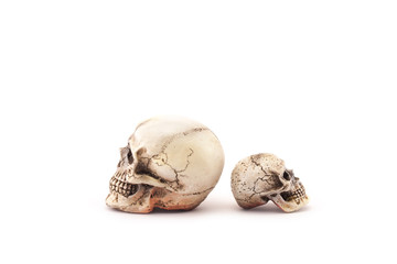 Human skull on isolated white background.