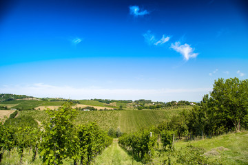 Obraz premium Agricultural cultivated fields in Italy