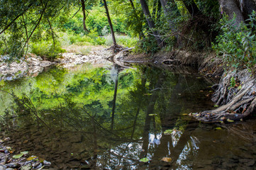 Obraz premium mountain creek evening