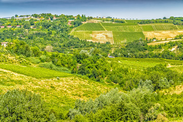 Fototapeta premium Agricultural cultivated fields in Italy