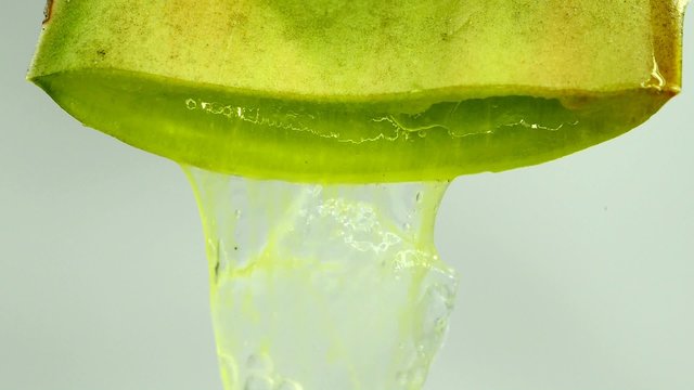 Aloe, Saft tropft aus Blatt