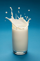 Splash of milk in the glass. Closeup.