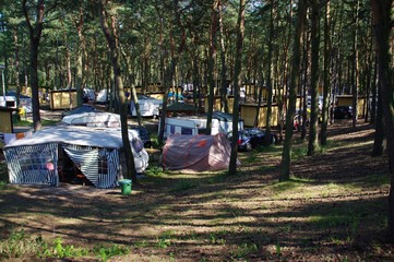 Camping in the woods © emar