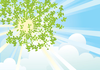 Sun rays in green leaves.Vector abstract