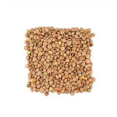 Lentil isolated on white background