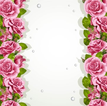Background for your text with pink roses