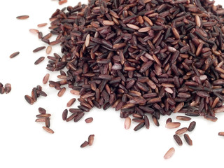 Wild Rice isolated on white background