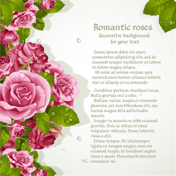 Decorative background with romantic pink roses