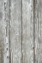 Obraz premium Wood old wall background