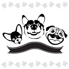 Dog smiling on white background, vector illustration
