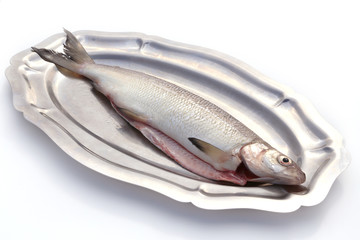 Poisson