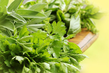 Fresh herbs preparation for drying