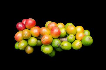 fresh coffee berries isolated on black