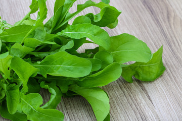 Ruccola