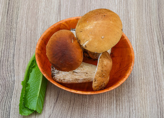 Wild Mushrooms
