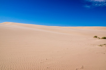 Deserto danese