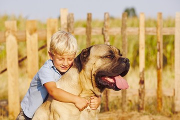 Little boy with large dog