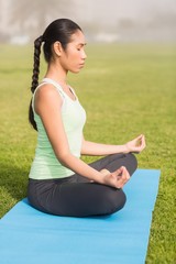 Fototapeta na wymiar Peaceful sporty woman meditating 